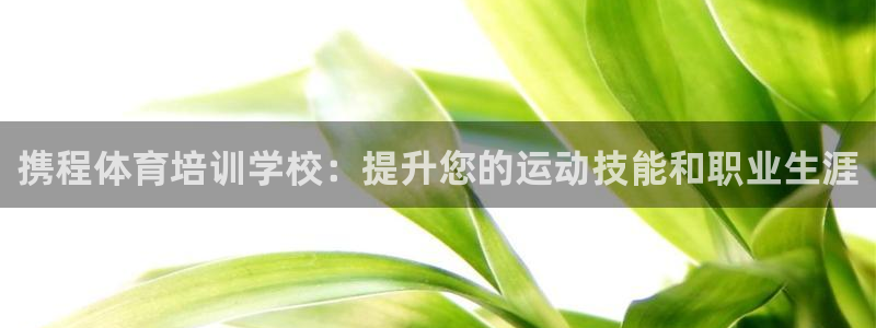 富联娱乐官方网站入口下载：携程体育培训学校：提升您的