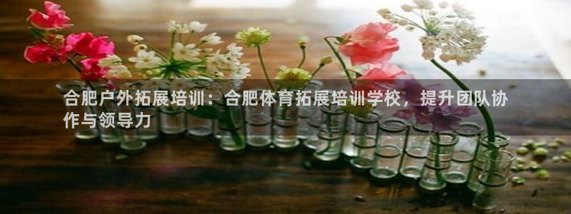 富联娱乐负责人名单：合肥户外拓展培训：合肥体育拓展培